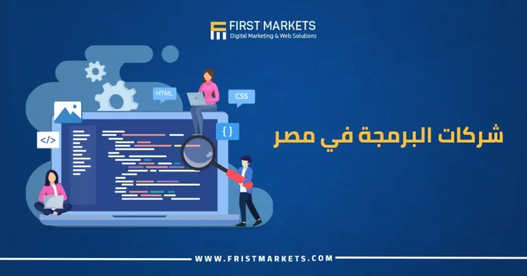 شركات البرمجة في مصر