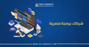 شركات برمجة مصرية